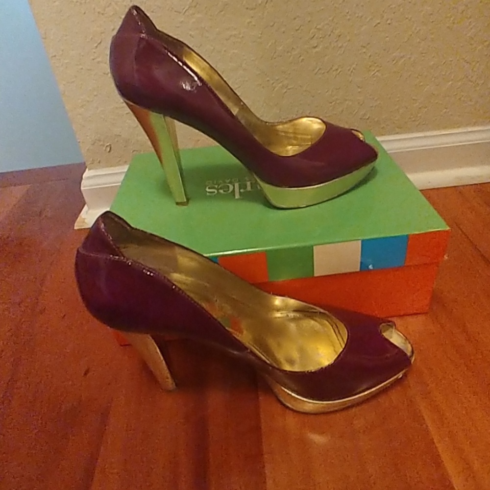 Enzo Angiolini